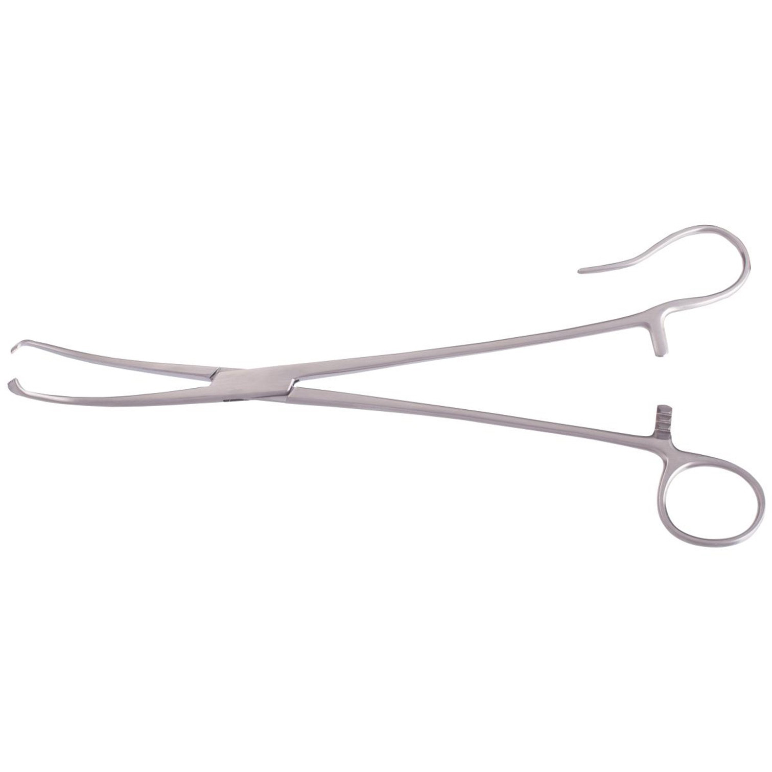 WHITE TONSIL SEIZING FORCEPS