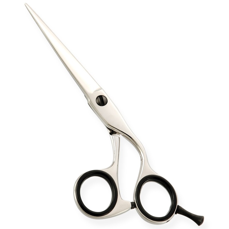Professional Hair Cutting Scissors