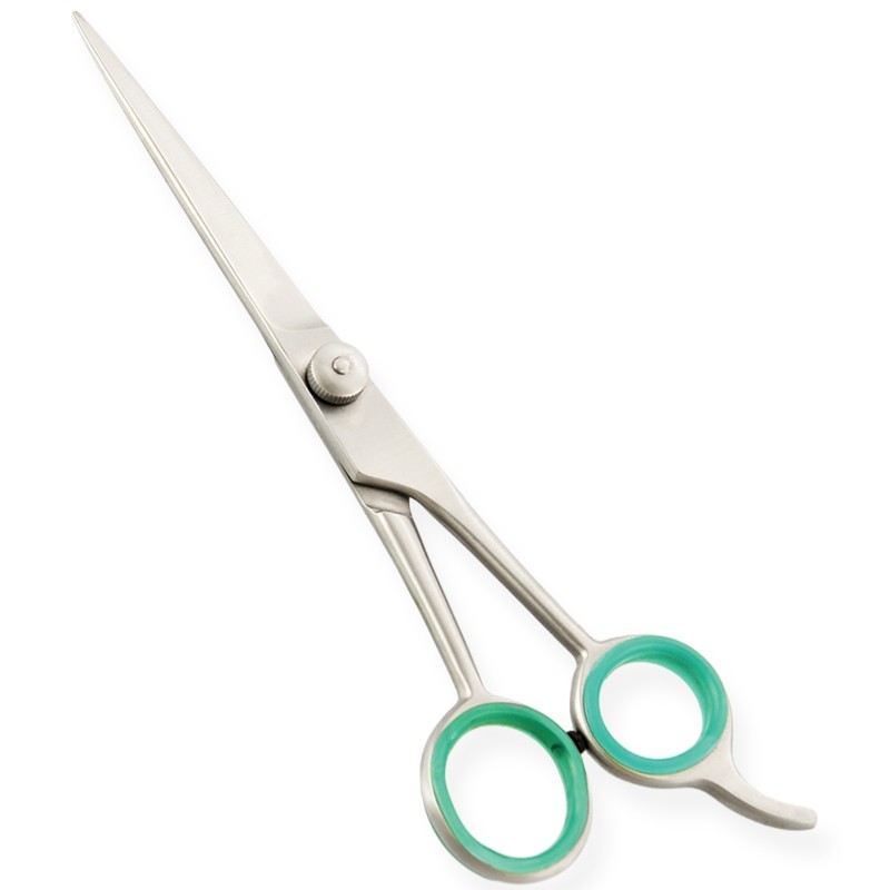 Professional Hair Cutting Scissors