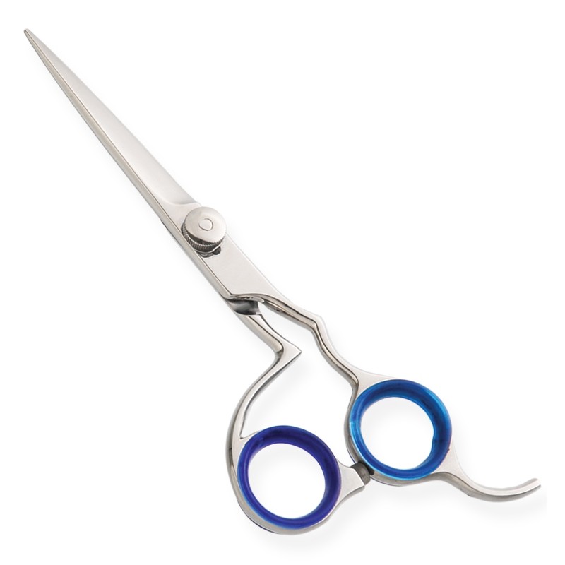 Professional Hair Cutting Scissors