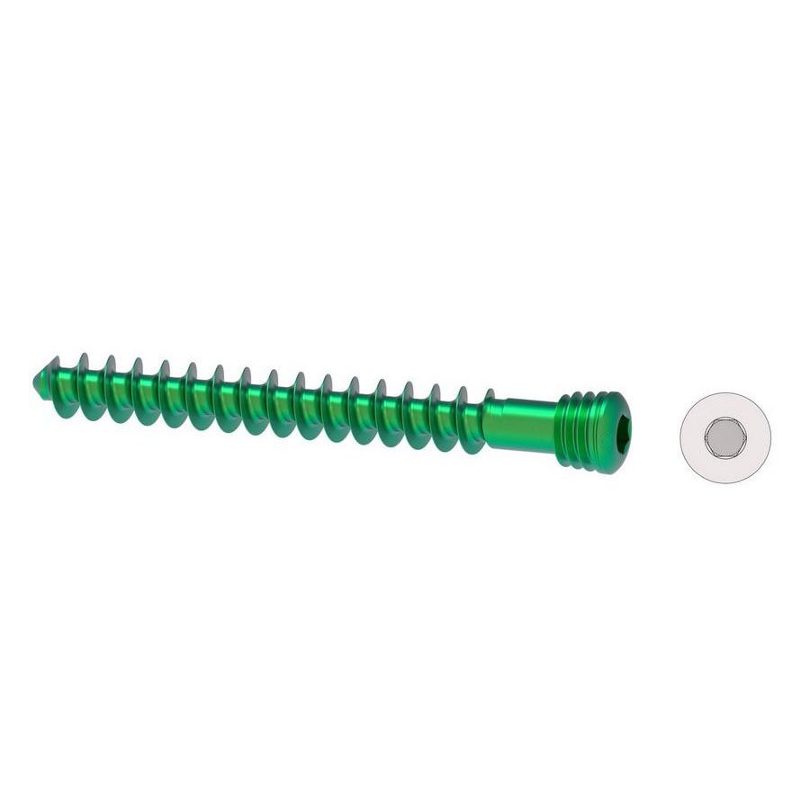 Bone Screws