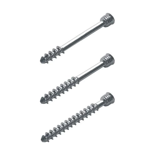 Bone Screws