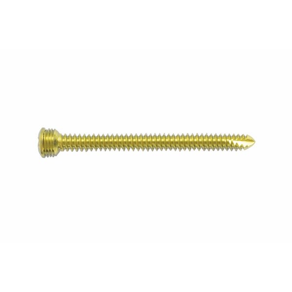 Locking Screws